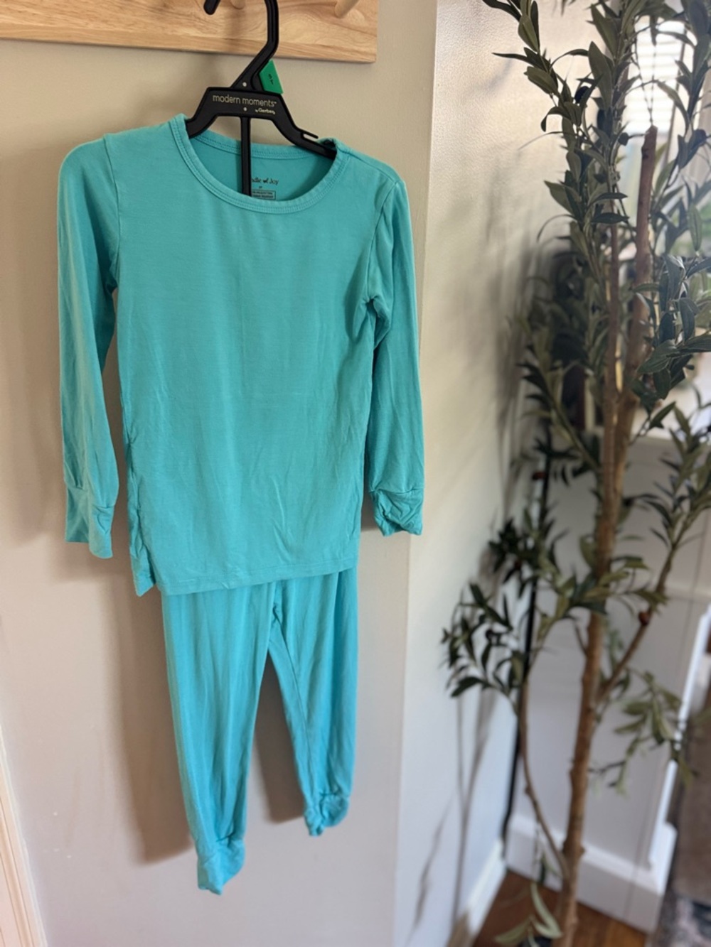 Bundle of Joy Bamboo Bright Blue Long-Sleeve Pajama Set - 3T